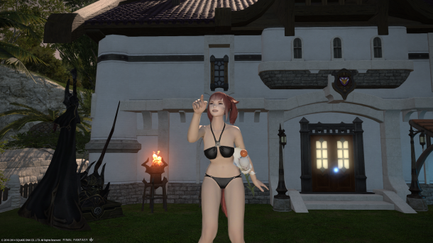 ffxiv_02202014_210856